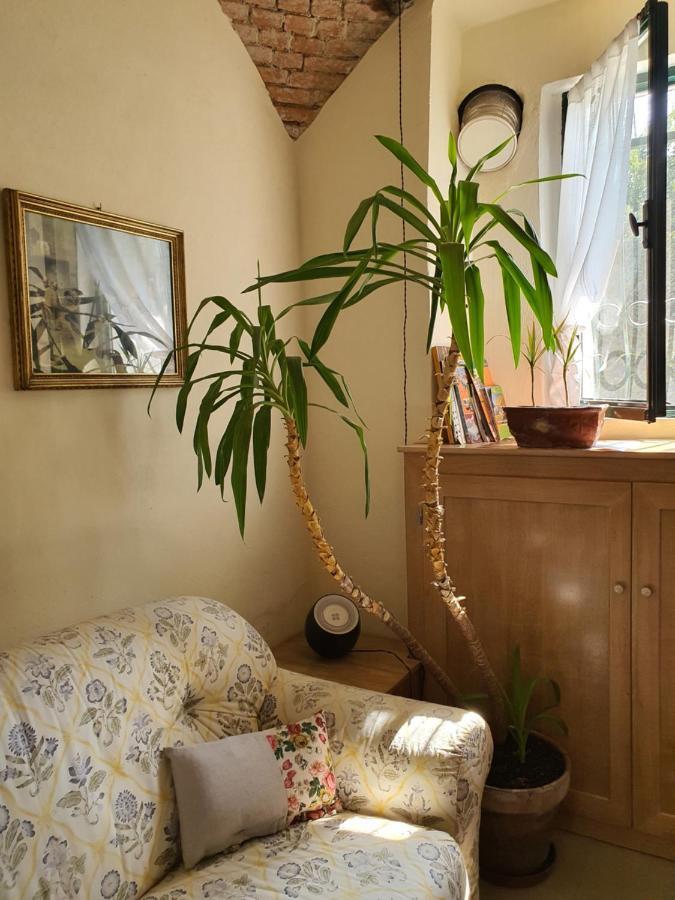 Fagnano OlonaIl Casolare Del Medio Olona住宿加早餐旅馆 外观 照片